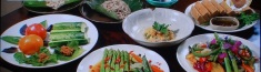 野にきけ膳
