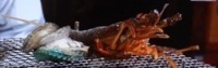 地獄焼き