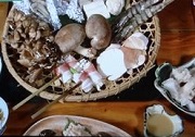 きのこ炭火焼コース