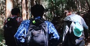 鍋割山