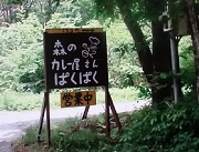 森のカレー屋さん ぱくぱく