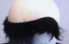 カツラの毛貼り